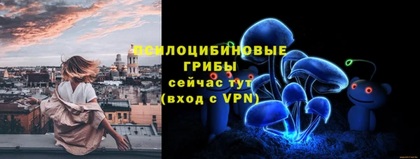 apvp Богородск