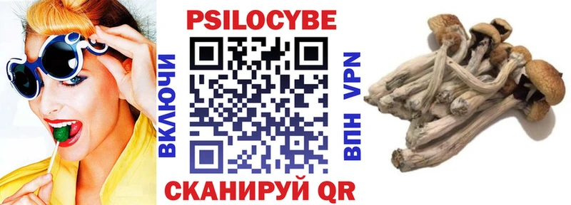 Галлюциногенные грибы мицелий  гидра ссылка  Козьмодемьянск 